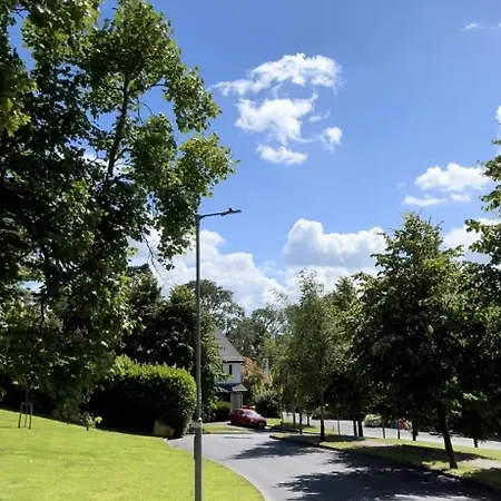 With Private Bathroom Close To * Cork