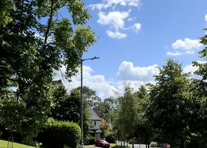 With Private Bathroom Close To * Cork